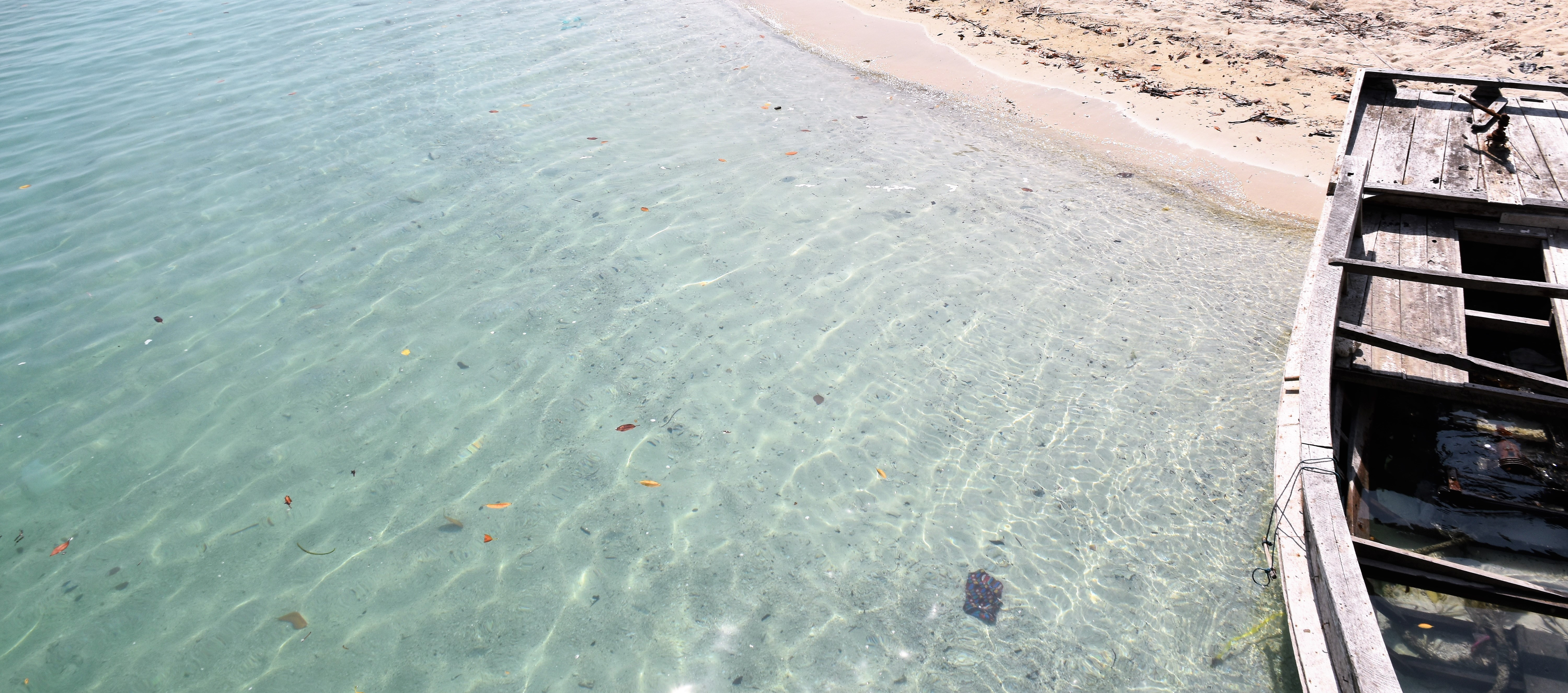 Havelock Island